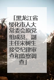 黑龙江省绥化市人大常委会原党组成员、副主任宋树生接受纪律审查和监察调查