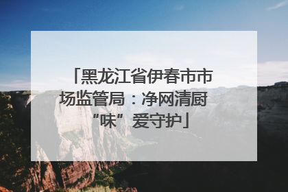黑龙江省伊春市市场监管局：净网清厨 “味”爱守护