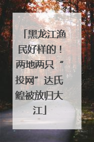 黑龙江渔民好样的！两地两只“投网”达氏鳇被放归大江