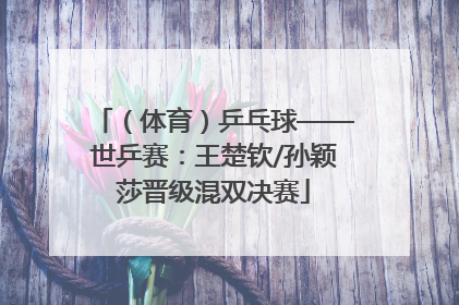 （体育）乒乓球——世乒赛：王楚钦/孙颖莎晋级混双决赛