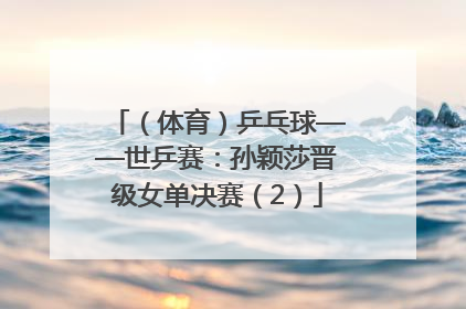 （体育）乒乓球——世乒赛：孙颖莎晋级女单决赛（2）