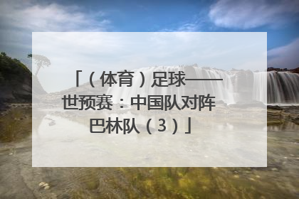 （体育）足球——世预赛：中国队对阵巴林队（3）