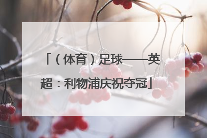 （体育）足球——英超：利物浦庆祝夺冠