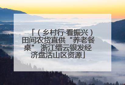 （乡村行·看振兴）田间农货直供“养老餐桌” 浙江缙云银发经济盘活山区资源