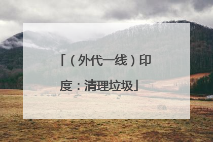 （外代一线）印度：清理垃圾