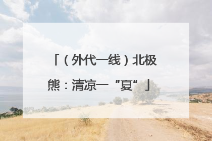 （外代一线）北极熊：清凉一“夏”