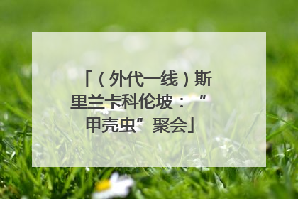 （外代一线）斯里兰卡科伦坡：“甲壳虫”聚会