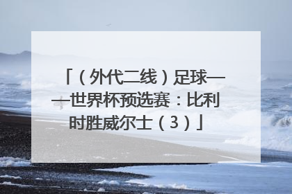 （外代二线）足球——世界杯预选赛：比利时胜威尔士（3）