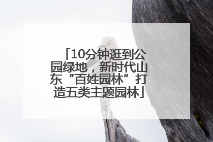 10分钟逛到公园绿地，新时代山东“百姓园林”打造五类主题园林