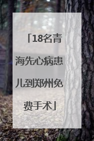 18名青海先心病患儿到郑州免费手术