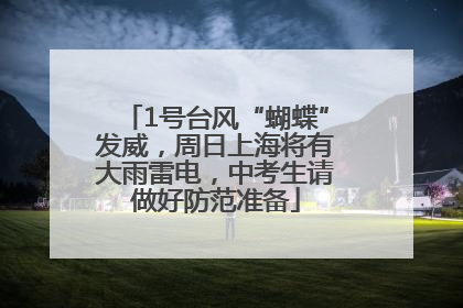 1号台风“蝴蝶”发威，周日上海将有大雨雷电，中考生请做好防范准备