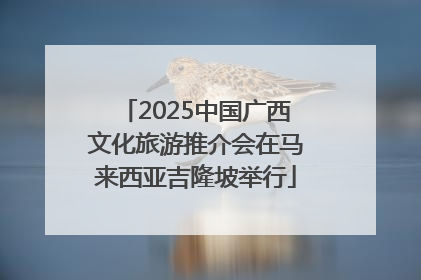 2025中国广西文化旅游推介会在马来西亚吉隆坡举行