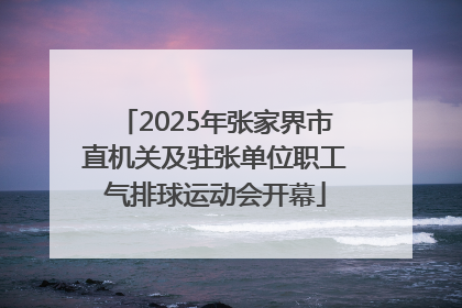 2025年张家界市直机关及驻张单位职工气排球运动会开幕