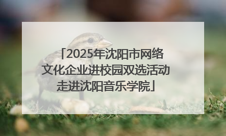 2025年沈阳市网络文化企业进校园双选活动走进沈阳音乐学院