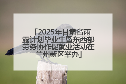 2025年甘肃省雨露计划毕业生暨东西部劳务协作促就业活动在兰州新区举办