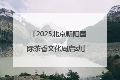2025北京朝阳国际茶香文化周启动
