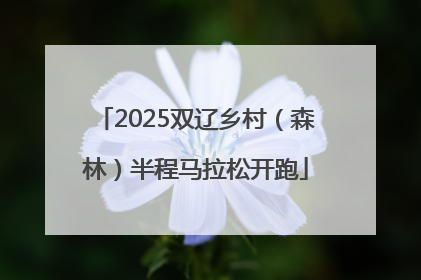2025双辽乡村（森林）半程马拉松开跑