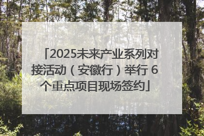2025未来产业系列对接活动（安徽行）举行 6个重点项目现场签约