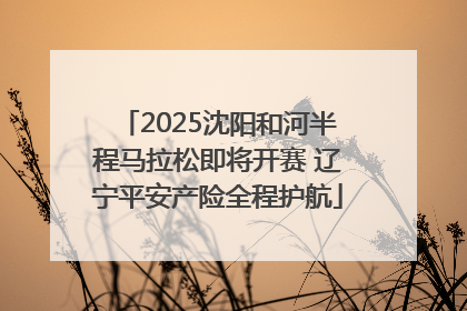 2025沈阳和河半程马拉松即将开赛 辽宁平安产险全程护航