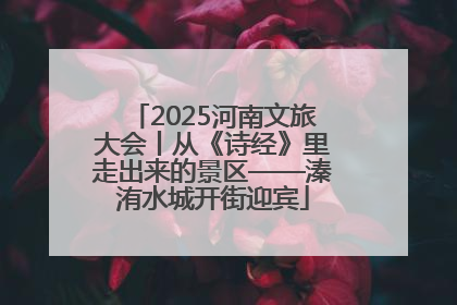 2025河南文旅大会丨从《诗经》里走出来的景区——溱洧水城开街迎宾