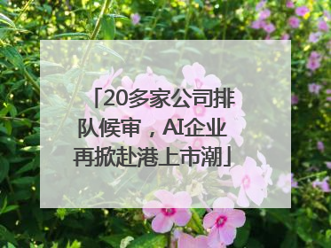 20多家公司排队候审，AI企业再掀赴港上市潮