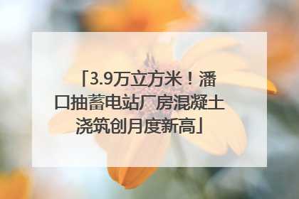 3.9万立方米！潘口抽蓄电站厂房混凝土浇筑创月度新高