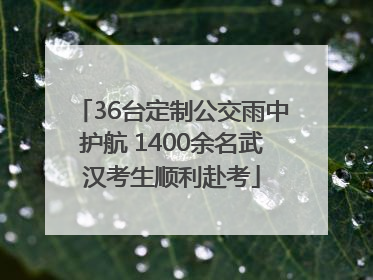 36台定制公交雨中护航 1400余名武汉考生顺利赴考