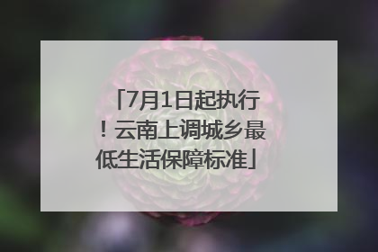 7月1日起执行！云南上调城乡最低生活保障标准