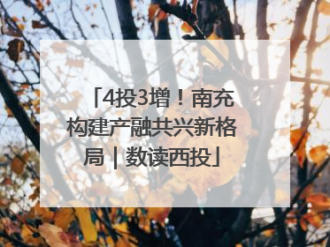 4投3增！南充构建产融共兴新格局｜数读西投