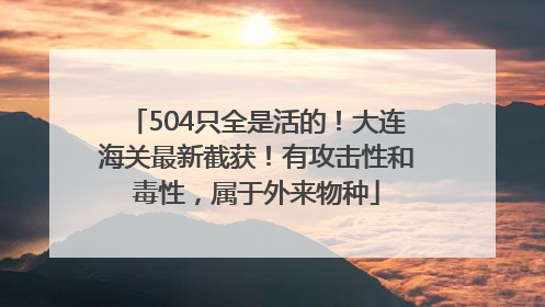 504只全是活的！大连海关最新截获！有攻击性和毒性，属于外来物种