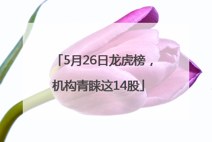 5月26日龙虎榜，机构青睐这14股