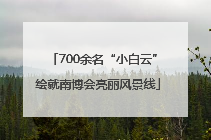 700余名“小白云”绘就南博会亮丽风景线